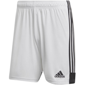 Spodenki męskie adidas Tastigo 19 Shorts białe DP3247