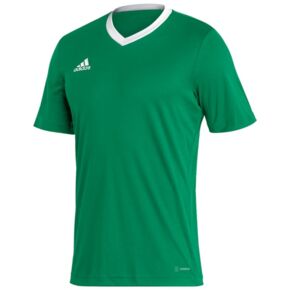 Koszulka męska adidas Entrada 22 Jersey zielona HI2123