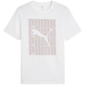 Koszulka męska Puma Graphics Wording Tee biała 684825 02