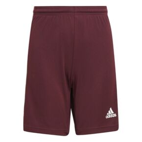 Spodenki dla dzieci adidas Squadra 21 Short bordowe GN8081  