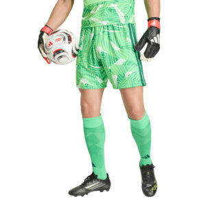 Spodenki męskie adidas Tiro 26 Competition Goalkeeper zielone KC5346