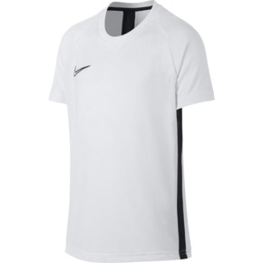 Koszulka dla dzieci Nike Dri-FIT Academy SS Top JUNIOR biała AO0739 100