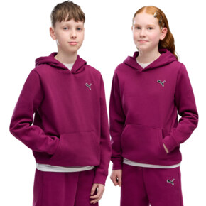 Bluza dla dzieci Puma ESS Elevated Hoodie FL fuksja 694701 41