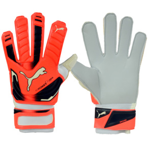 Rękawice bramkarskie Puma Evo Power Grip 2 Aqua 041145 30  