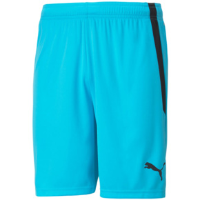 Spodenki męskie Puma teamLIGA błękitne 704924 40