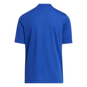 Koszulka dla dzieci adidas Entrada 22 Graphic Jersey niebieska HF0130