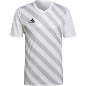 Koszulka męska adidas Entrada 22 Graphic Jersey biało-szara HF0129