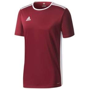 Koszulka męska adidas Entrada 18 Jersey bordowa CD8430