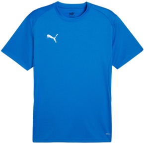 Koszulka męska Puma TeamGoal Jersey niebieska 658636 02