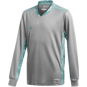 Bluza bramkarska dla dzieci adidas AdiPro 20 Goalkeeper Jersey Youth Longsleeve szaro-niebieska FI4197