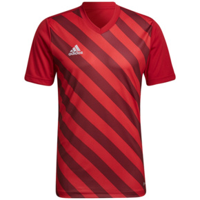 Koszulka męska adidas Entrada 22 Graphic Jersey czerwono-bordowa HB0572