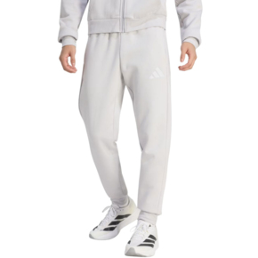 Spodnie męskie adidas Entrada 26 Sweat szare JZ9139