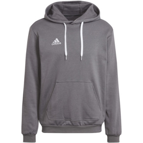 Bluza męska adidas Entrada 22 Hoody szara HB0578