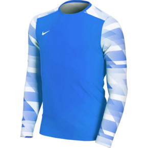 Bluza bramkarska dla dzieci Nike Dry Park IV JSY LS GK JUNIOR niebieska CJ6072 463