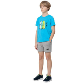 Koszulka dla chłopca 4F niebieska HJL22 JTSM009 33S