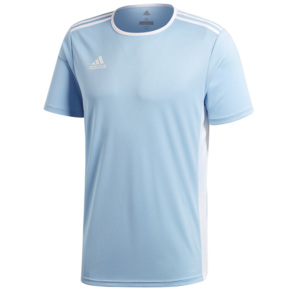 Koszulka męska adidas Entrada 18 Jersey błękitna CD8414