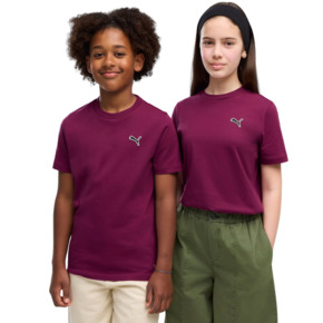 Koszulka dla dzieci Puma Cls Badge Cat Tee fioletowa 694700 41