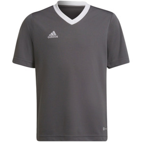 Koszulka dla dzieci adidas Entrada 22 Jsy szara H57499