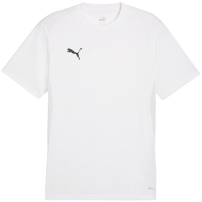 Koszulka męska Puma TeamGoal Jersey biała 658636 04