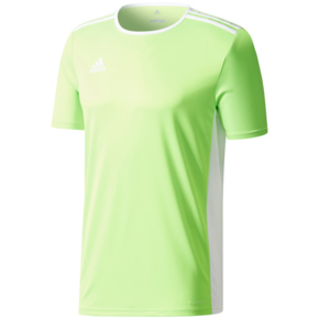 Koszulka dla dzieci adidas Entrada 18 Jersey JUNIOR limonkowa CE9758/CE9755