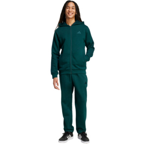 Dres męski adidas Colorblock Hooded Tracksuit zielony JL8600
