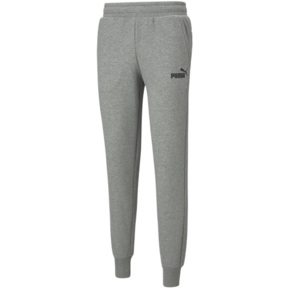 Spodnie męskie Puma ESS Logo Pants FL jasnoszare 586714 03