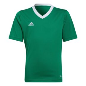Koszulka dla dzieci adidas Entrada 22 Jersey zielona HI2126