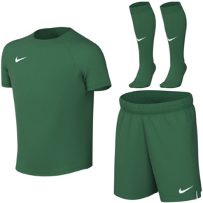 Komplet sportowy dla dzieci Nike Dri-Fit Park VIII zielony HV8260 302