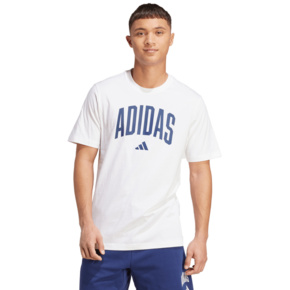 Koszulka męska adidas Collegiate Lineage Graphic biała JM6416