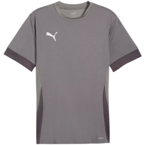 Koszulka męska Puma teamGoal Matchday Jersey szara 705747 13
